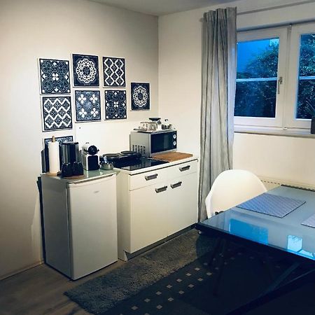 Apartment Dreilandereck Rheinfelden  Ngoại thất bức ảnh
