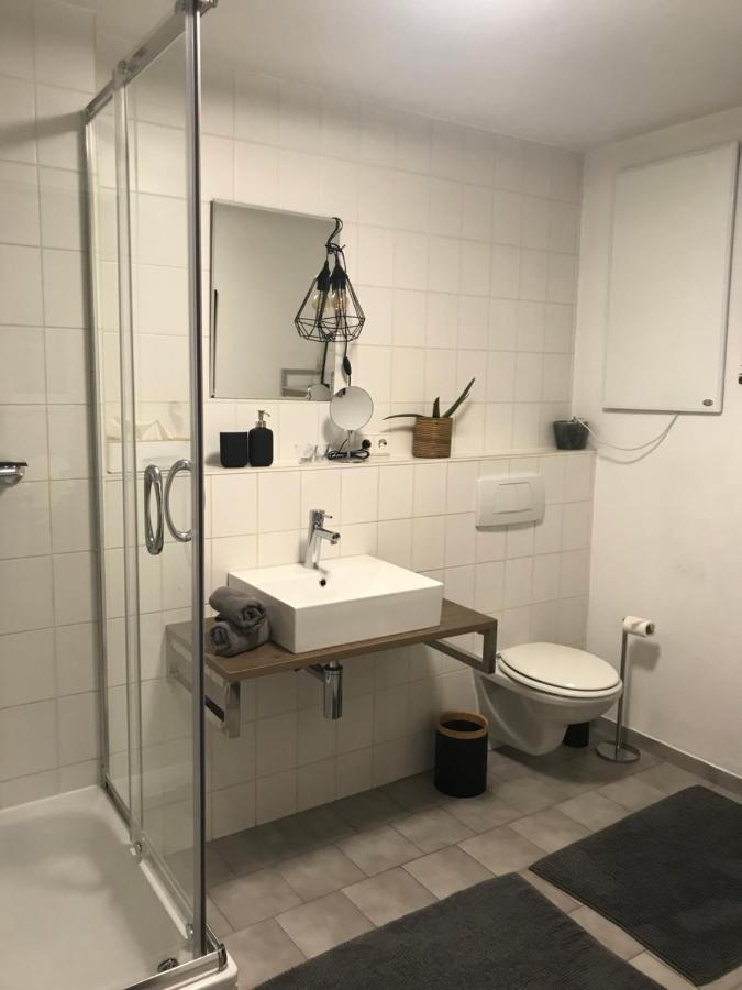 Apartment Dreilandereck Rheinfelden  Ngoại thất bức ảnh